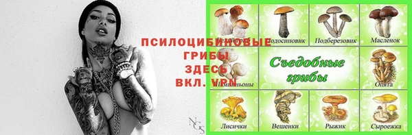 мдма Елизово