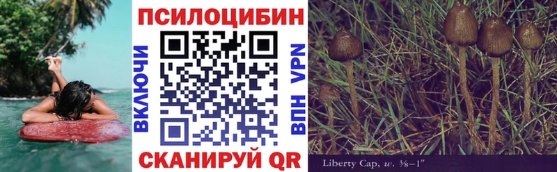 Псилоцибиновые грибы MAGIC MUSHROOMS  Купить закладки  Полысаево 